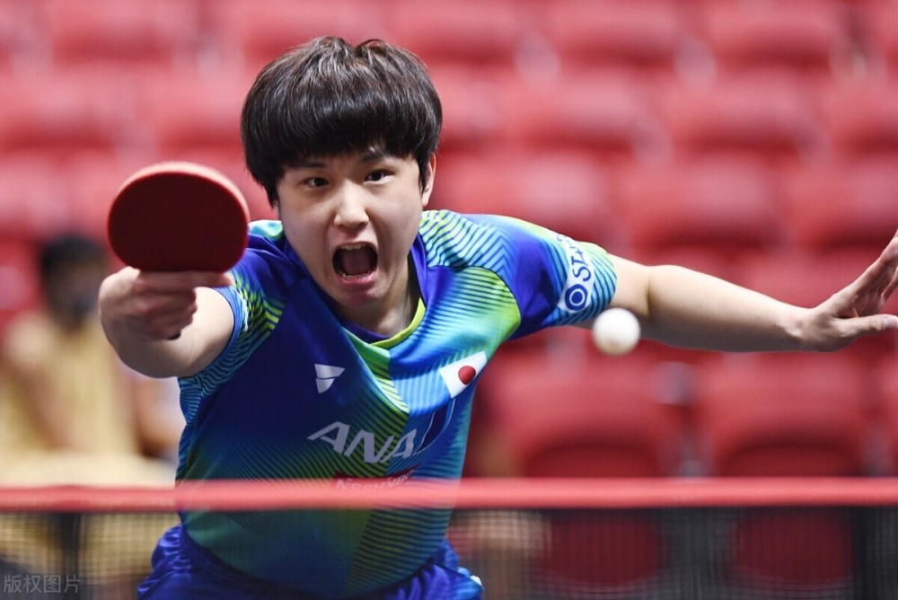 稳定不仅体 稳定不仅体